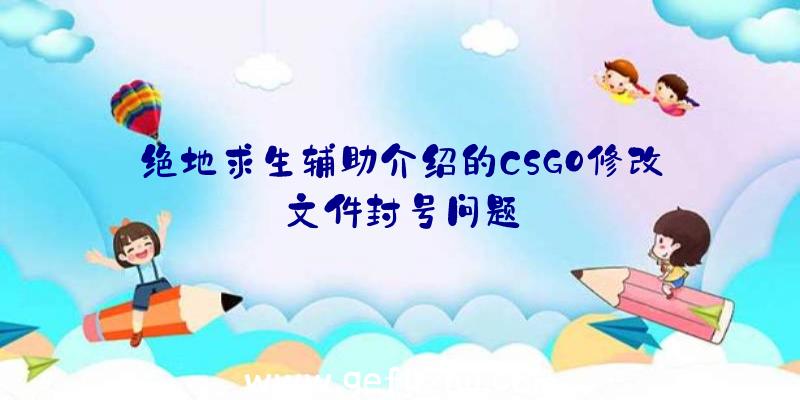 绝地求生辅助介绍的CSGO修改文件封号问题