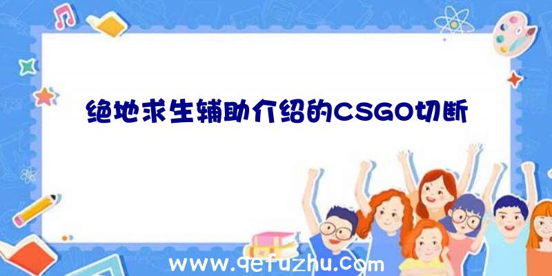 绝地求生辅助介绍的CSGO切断