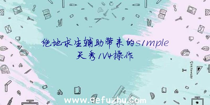 绝地求生辅助带来的s1mple天秀1V4操作