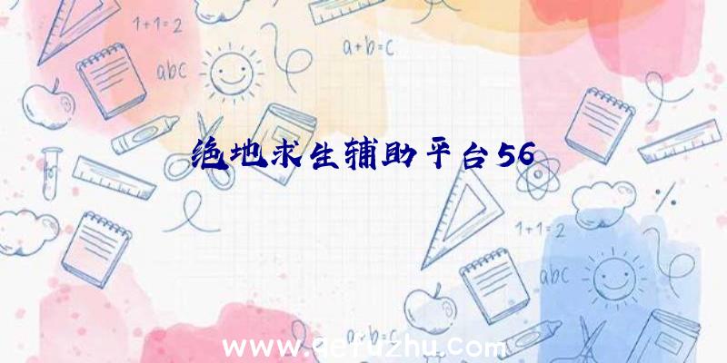 绝地求生辅助平台56