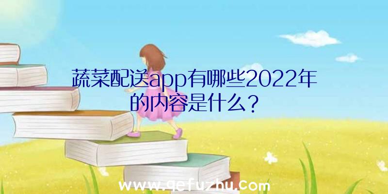 蔬菜配送app有哪些2022年的内容是什么？