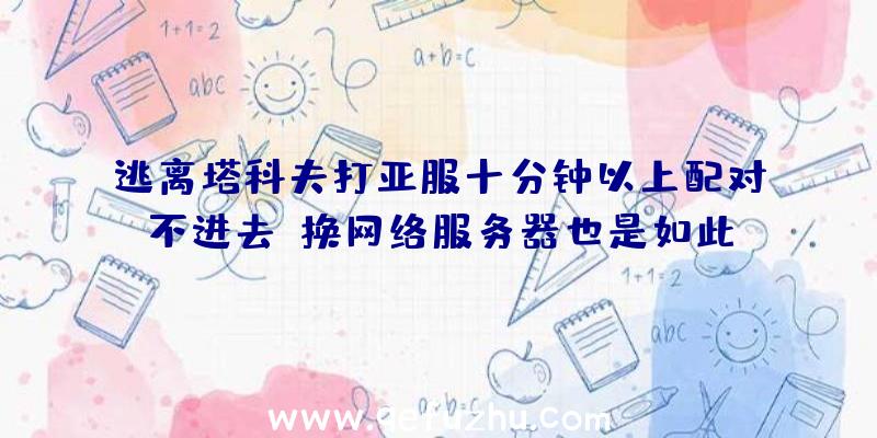 逃离塔科夫打亚服十分钟以上配对不进去,换网络服务器也是如此