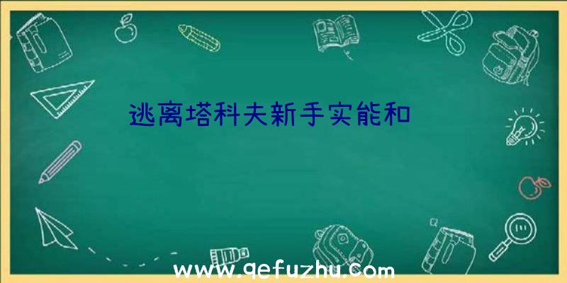 逃离塔科夫新手实能和经验