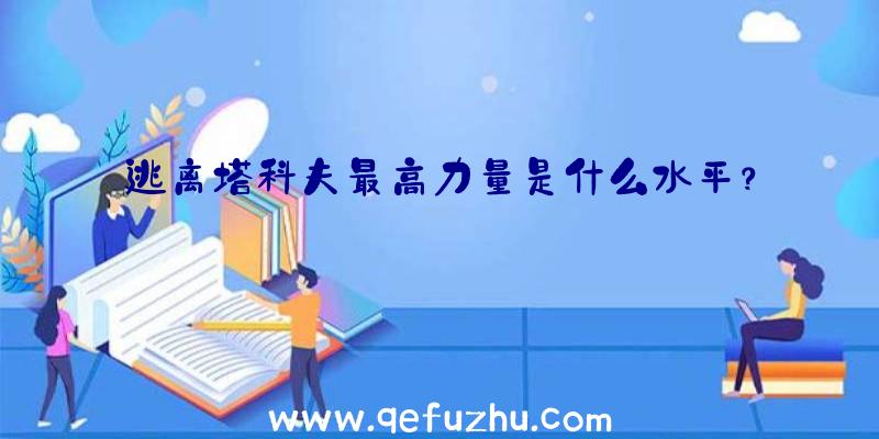 逃离塔科夫最高力量是什么水平？